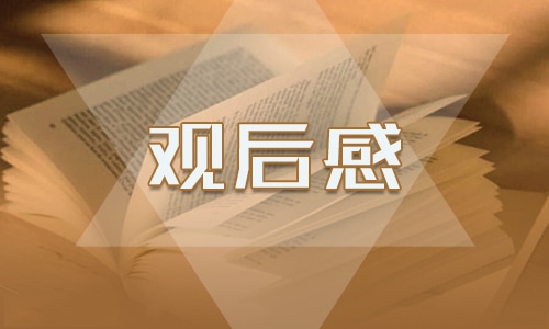 神舟十七號發(fā)射優(yōu)秀觀后感