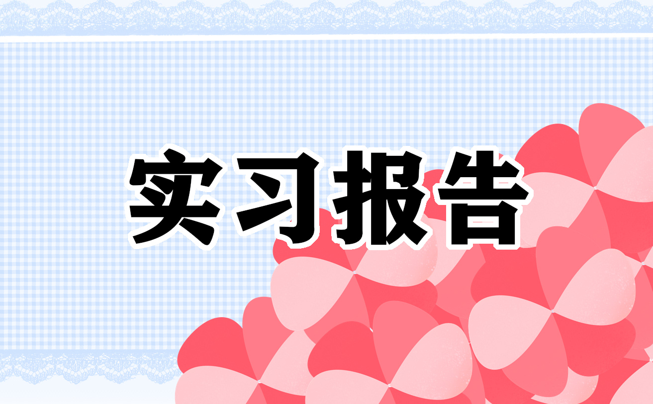 2022會計暑假實習報告范文